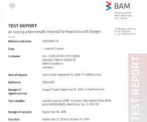 Universal Pipe Gasket (Style 800) Certification Oxygen Service BAM